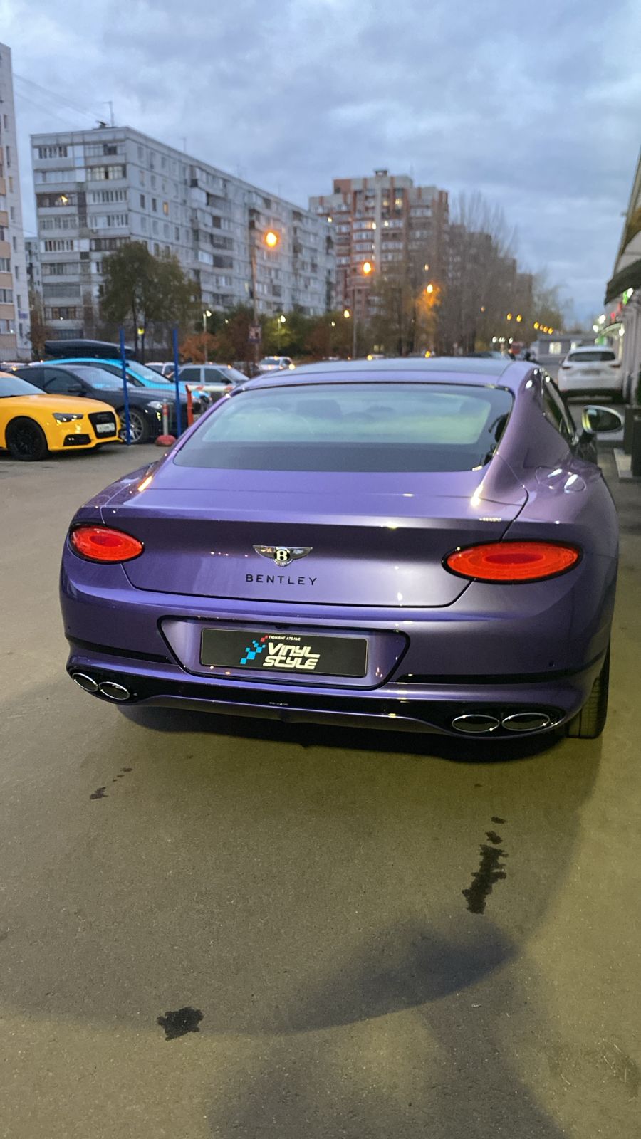 Carlas TPU5320 Mountain Aster Purple — изображение 5
