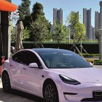 2024 Morandi Purple 2