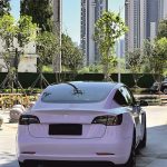 2024 Morandi Purple 3